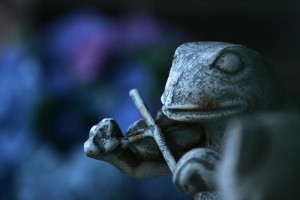 garden_frog