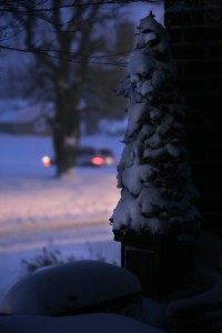 snow1