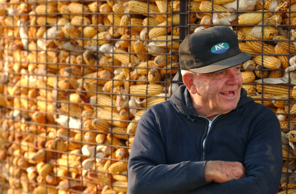 LOWER NAZARETH TWP., OCTOBER 17, 2001 -  Willard Setzer, owner of Walnut Way Farm in Lower Nazareth Twp., laughs as he sits by one of the corn cribs at the end of a long day.  "To do this kind of work, you have to love it," Setzer says.  "It's not for the money, because farmers don't have any money.  You're born to it. It's in our blood."  Setzer owns and leases nearly 1,300 acres of farmland.  The corn and soybean harvest normally takes about two months to complete, but Setzer credits "exceptional weather" for getting this year's crop processed in five weeks.  (Betty E. Cauler / TMC)  for Walnut Way Farm, Lower Nazareth Twp. SUNMAG story, no pub date.