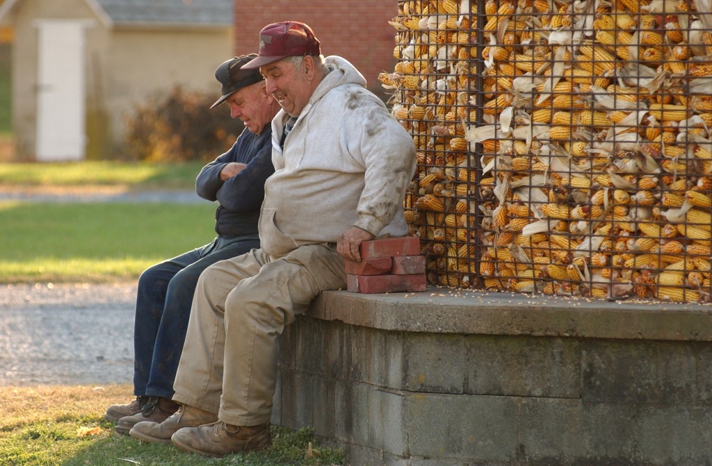 LOWER NAZARETH TWP., OCTOBER 30, 2001 -  Willard Setzer, left, owner of Walnut Way Farm in Lower Nazareth Twp., and Marvin Stettler take time out for a laugh as they sit in the setting sun by one of the corn cribs at the end of a long day.  Harvest time is an around-the-clock process for Setzer, who owns and leases nearly 1,300 acres of farmland.  The corn and soybean harvest takes about six weeks to complete.  (Betty E. Cauler / TMC)  for Walnut Way Farm, Lower Nazareth Twp. SUNMAG story, no pub date.